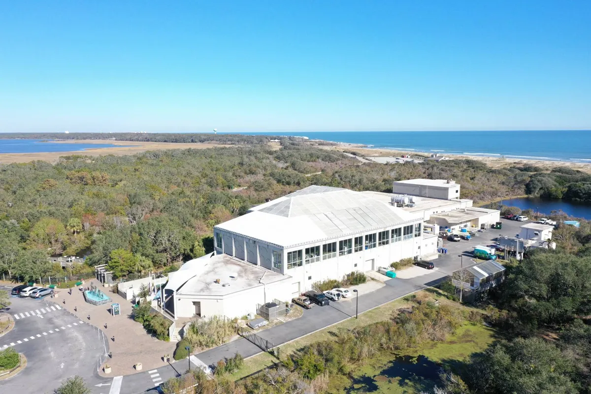 This exterior shot features a large building surrounded by greenery, with the ocean in the background. The scene suggests a welcoming destination for exploration—perfect to represent local attractions such as the NC Aquarium at Fort Fisher or other educational outings mentioned in the section.