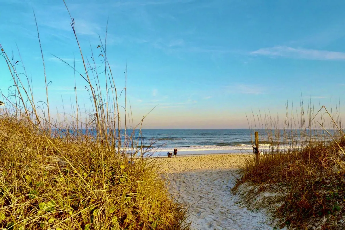 A peaceful coastal scene featuring sand dunes, the ocean, and a couple walking along the shore with their dog. The soft lighting and relaxed vibe perfectly capture the essence of unwinding after a day of activities, perhaps during a sunset stroll.